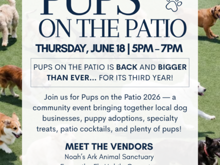 Pups on the Patio | Local Dog Event